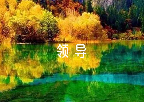 为什么篮球教练要重视球员的心态建设_0